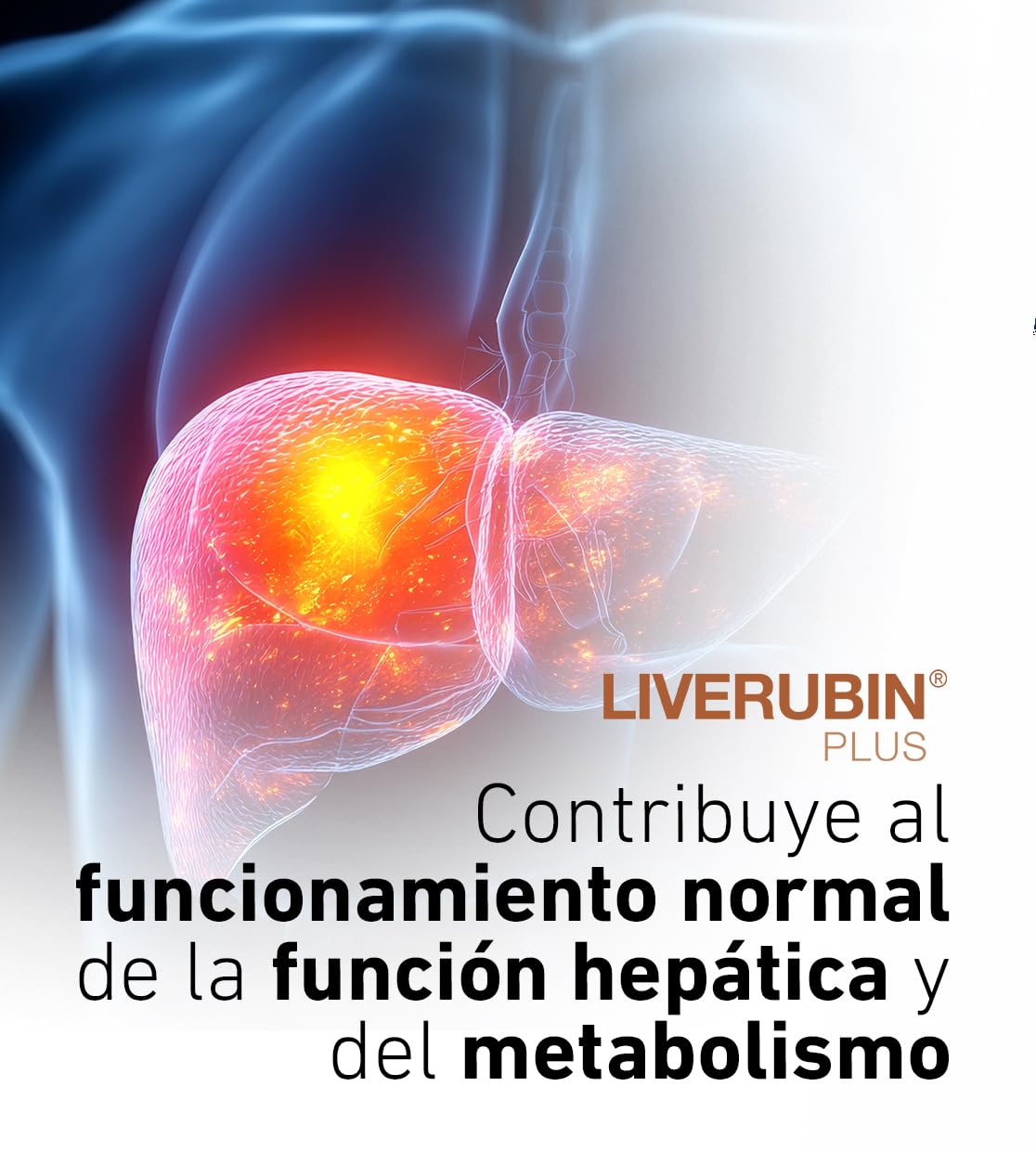 AlchemLife - Liverubin Forte | Apoyo a la Función Hepática y Biliar| 30 Cápsulas | Prevención de la Acumulación de Grasa en el Hígado | con Cardo Mariano, Colina, Alcachofa y Cúrcuma | Sin Gluten