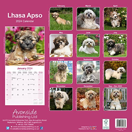 Lhasa Apso Calendar 2024 - Image 2