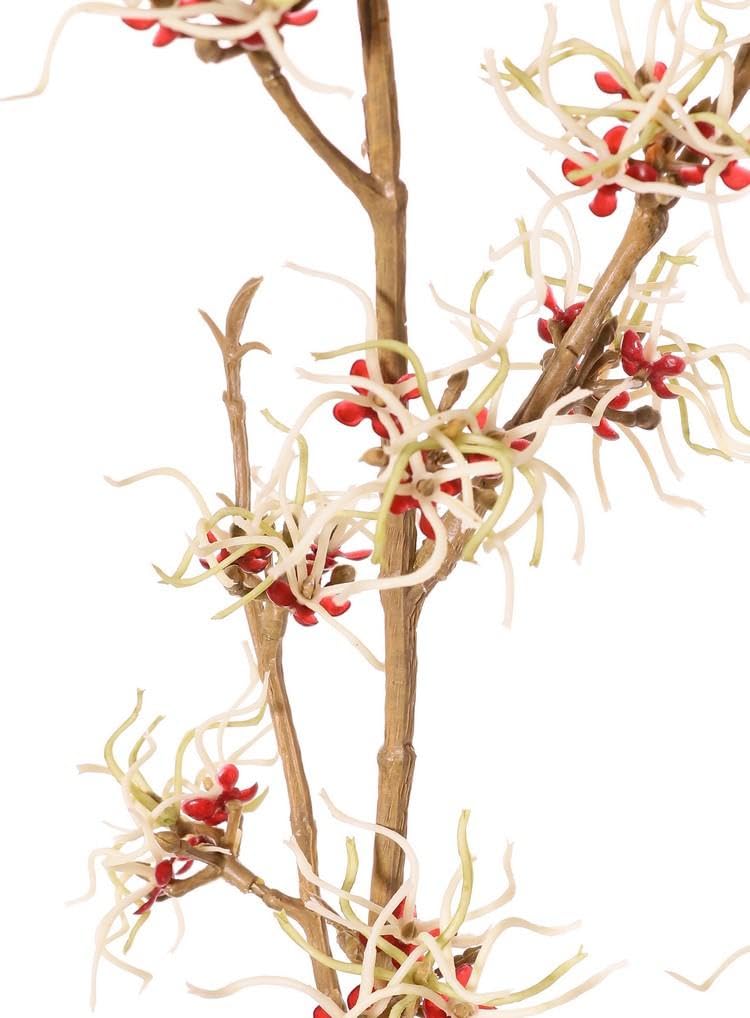 artplants.de Gałązka dekoracyjna hamamelis Xyla, kwiaty, 120 cm, Ø 5 cm