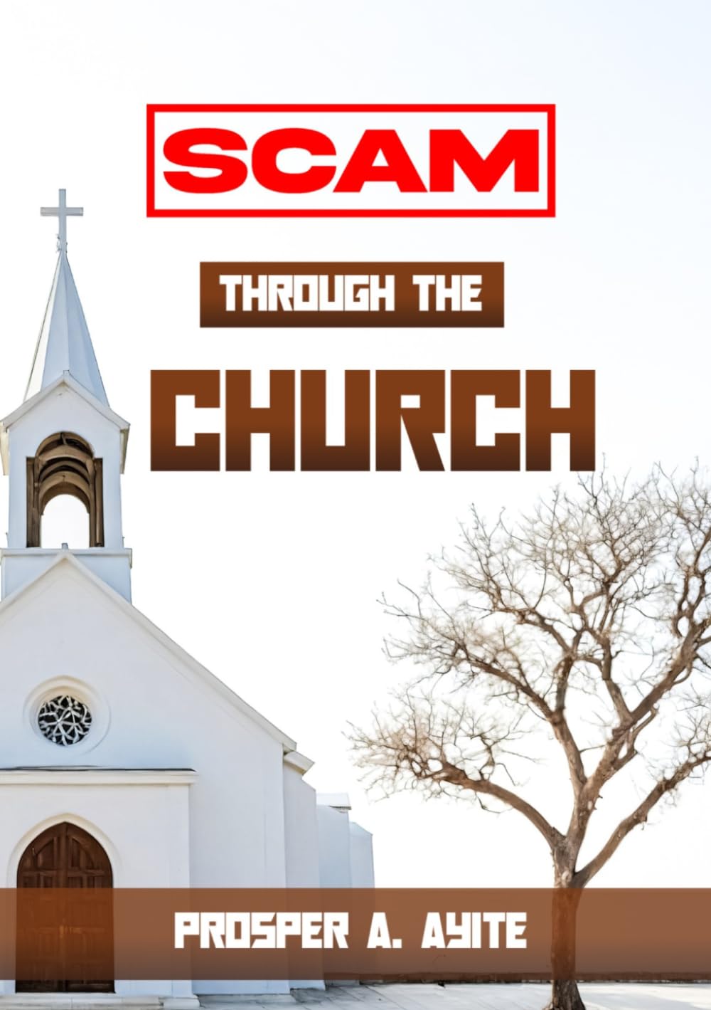 SCAM THROUGH THE CHURCH: Recognizing Spiritual Manipulation and Reclaiming Your Faith