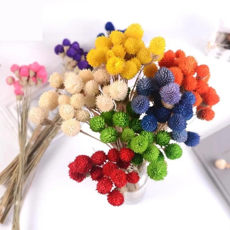 15 Pzs Ramo de Flores Secas Naturales Decoración Navideña miniatura 2