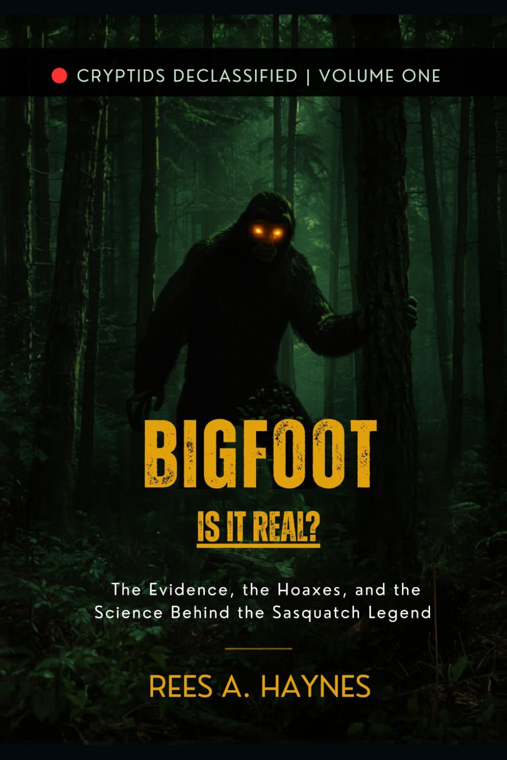 Bigfoot: Is It Real?: Tracks, Footage, and the Long Search for North America’s Wild Man