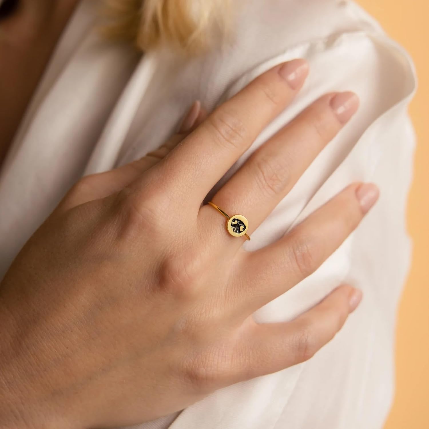 CAITLYNMINIMALIST 18K Gold Plated Sterling Silver Custom Paw Print Your Actual Pet Nose Print Photo Ring Personalized Fingerprint Jewelry Cat Dog Lover Memorial Jewelry Gift
