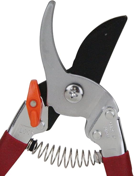 Cactus Professional Type Pruning Shears, Premium Blade Steel, Cutting Capacity 0.8 inches 20 mm No. 1255
