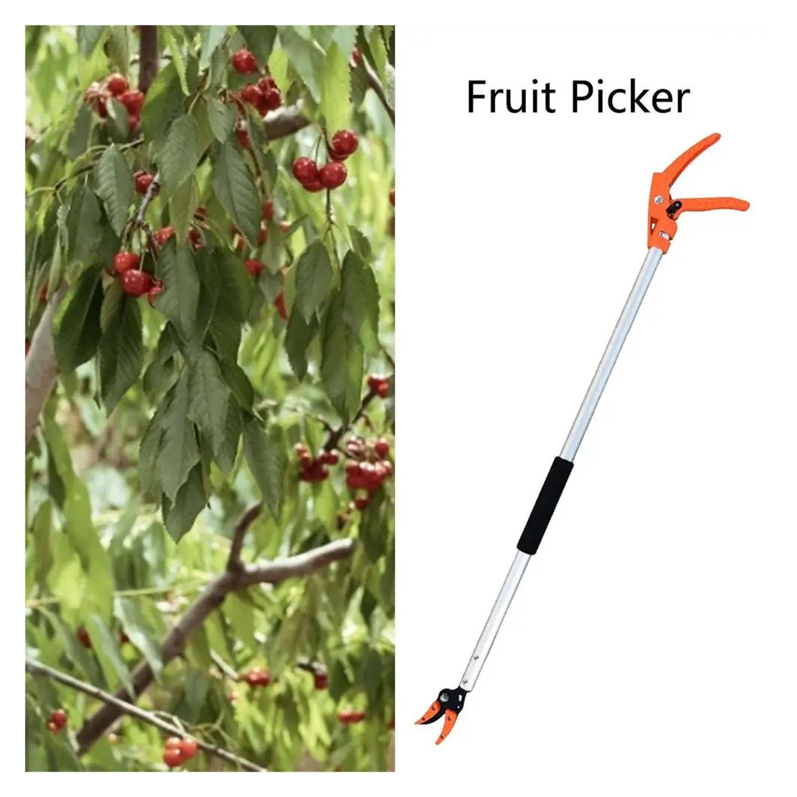 Raccoglitore Di Frutta Raccoglitrice di frutta 1M, forbici extra lunghe for la raccolta della frutta, potatura e mantenimento, potatore bypass, utensile da giardino for la raccolta di uva e cachi.