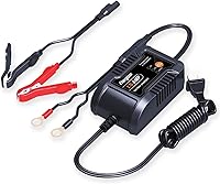 Energizer 2-Amp 7-Step Smart Battery Charger Maintainer for 6V/12V Lead-Acid Batteries - LCD Display, Auto, Motorcycle, RV, Boat