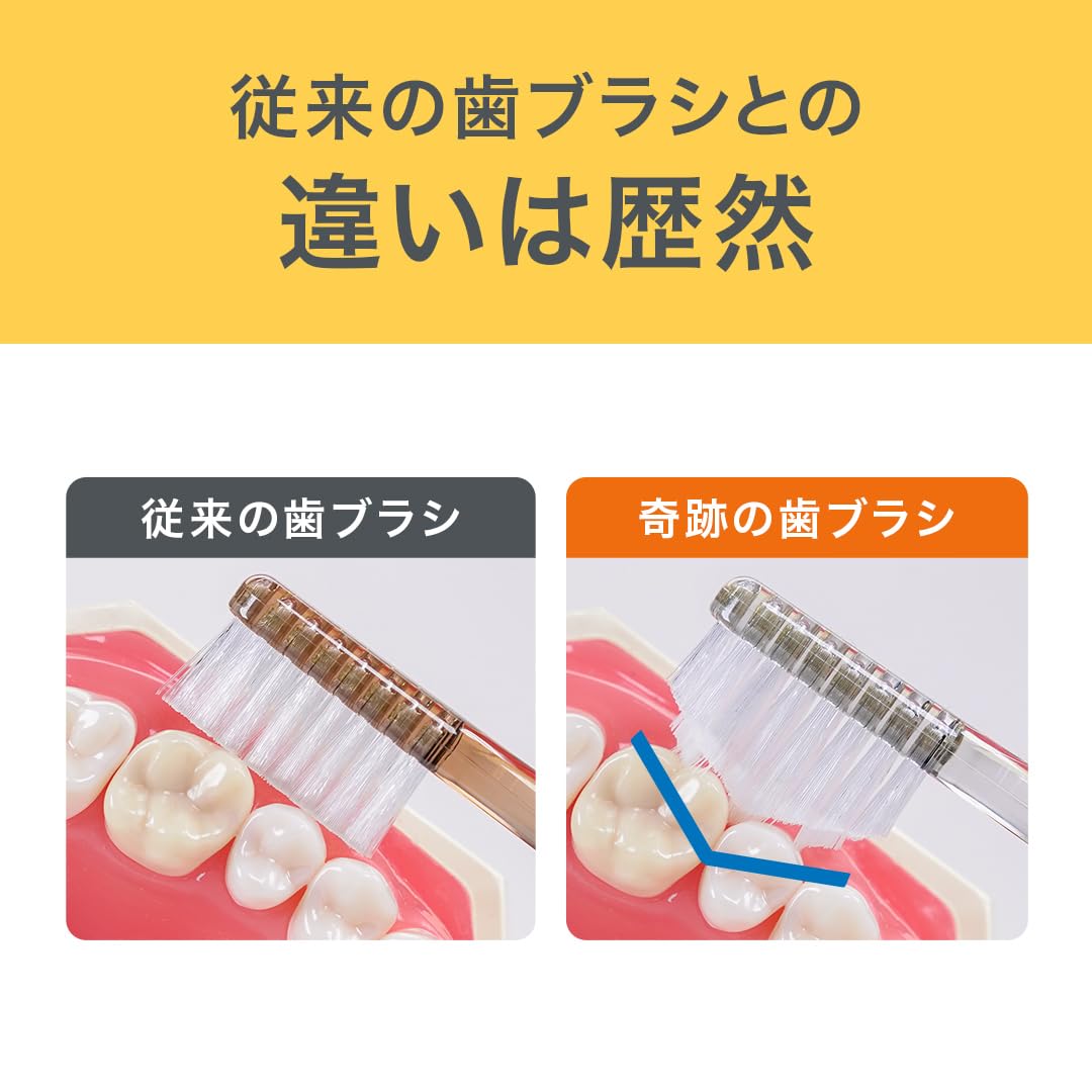 Amazon | 奇跡の歯ブラシ [ふつう] クリアブラック 12本セット おとな