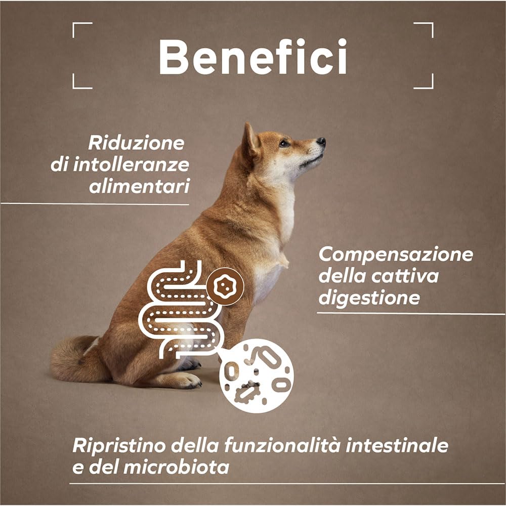 FORZA10 Dog Active Intestinal Colon FASE 2 | Agnello e Sorgo | Alimento Dietetico per Sensibilità Intestinale | Cibo Secco per Cani | Sacco da 10 Kg