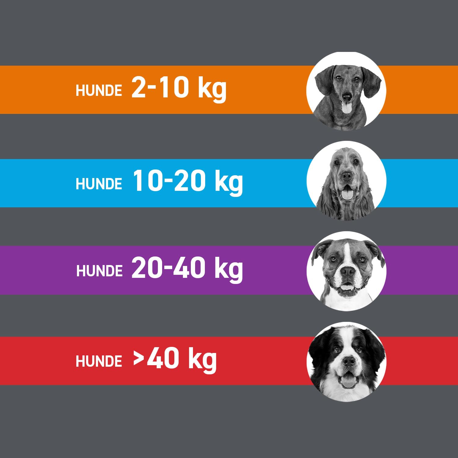 FRONTLINE Combo Hund M gegen Zecken, Flöhe & Haarlinge (10 bis 20 kg) | 3x Pipetten (3er Pack) für bis zu 9 Monate Schutz - gegen Floheier, Larven & Puppen im Haushalt - wasserfest