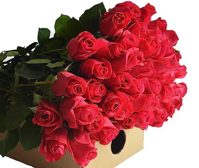 KaBloom Prime Next Day Delivery  Colección para el Día de la Madre  25 rosas rosas fuertes de alta calidad. Regalo para cumpleaños, condolencias,