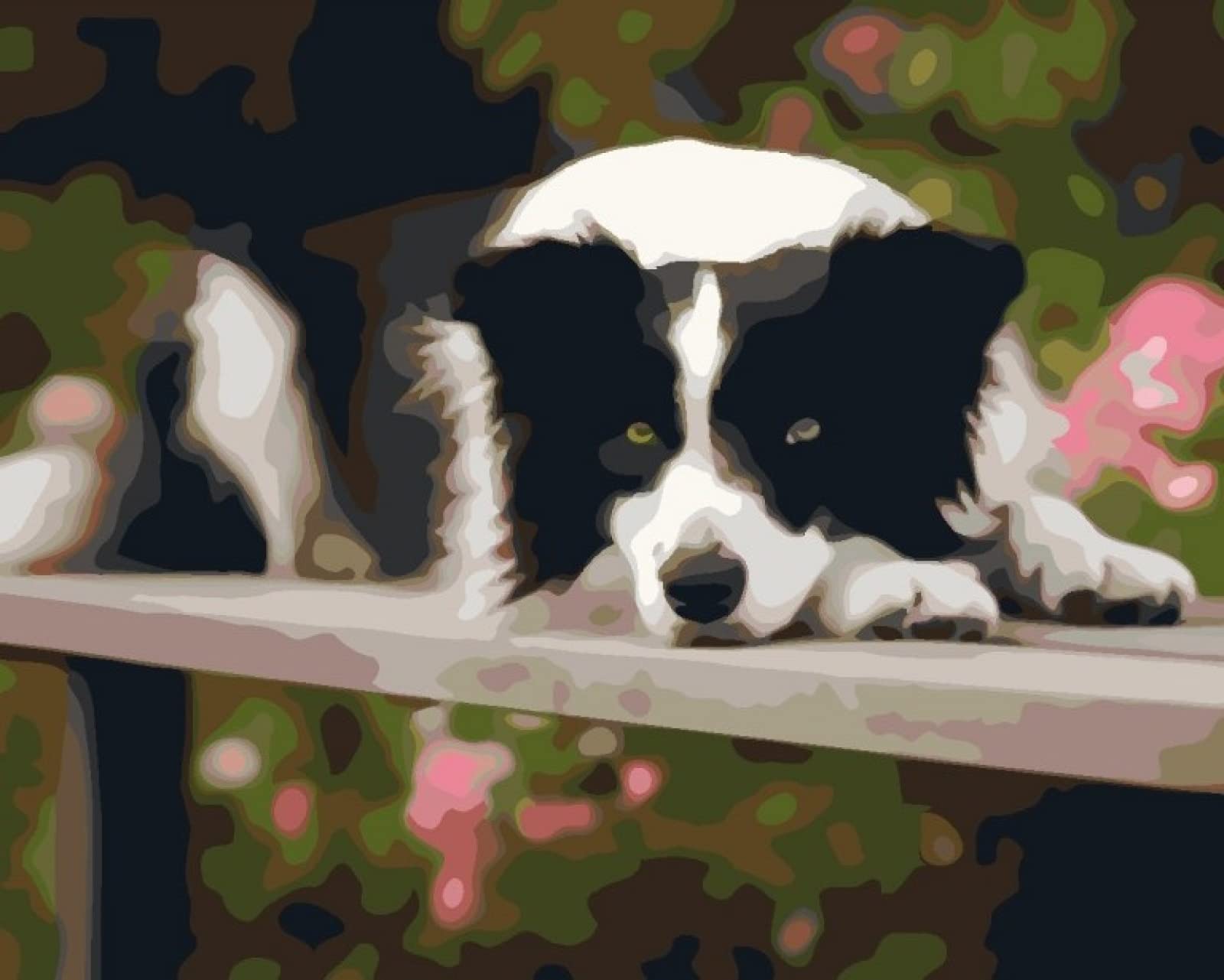 Kit point de croix imprimé chien 40x50cm pour débutant - 8