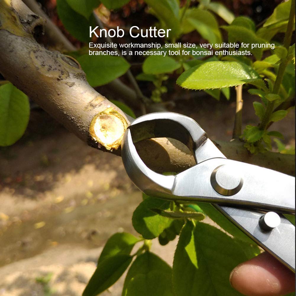 Kit de herramientas de bonsái de 180 mm conjunto de poda para jardinería