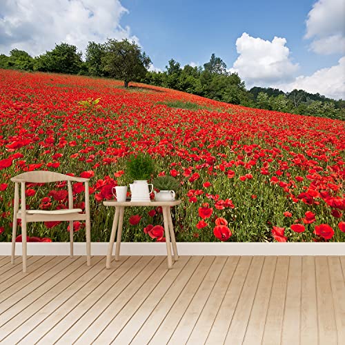 Papier peint champ de coquelicots grand format effet panoramique - 3