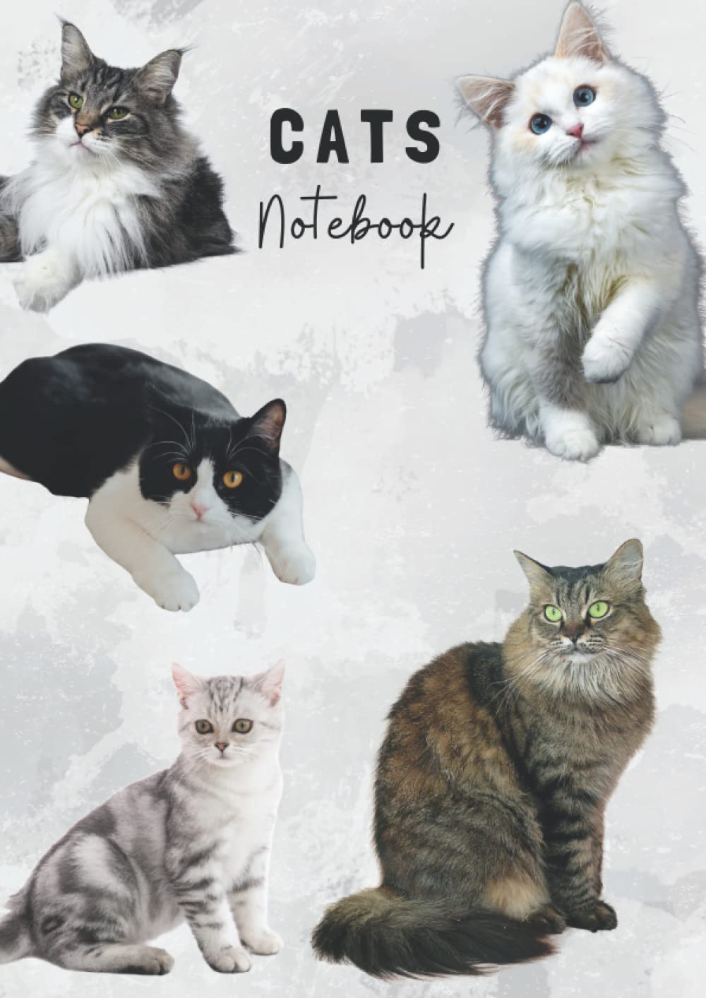 Cat Notebook: A4, 100 page dot journal, soft cover