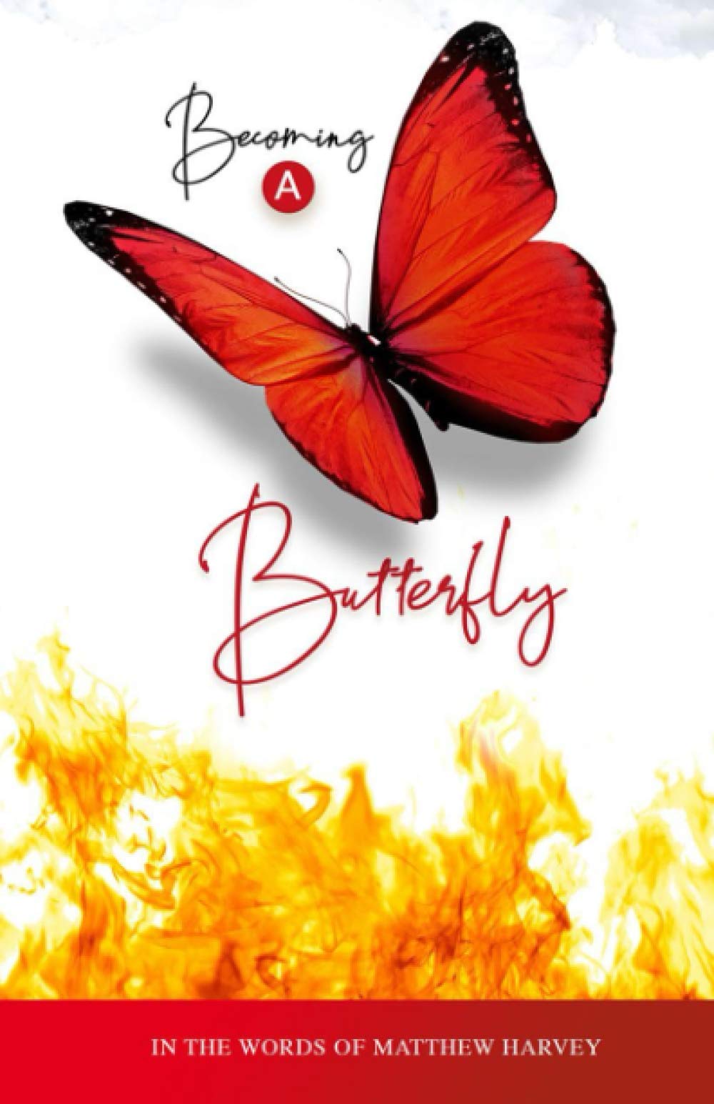 Becoming A Butterfly (Metamorphosis)