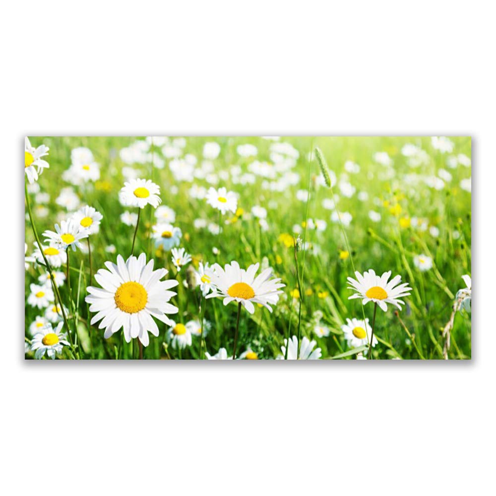 Impression Verre Acrylique 120x60cm Plastique Imprimés Tableau Décoration Daisy Floral