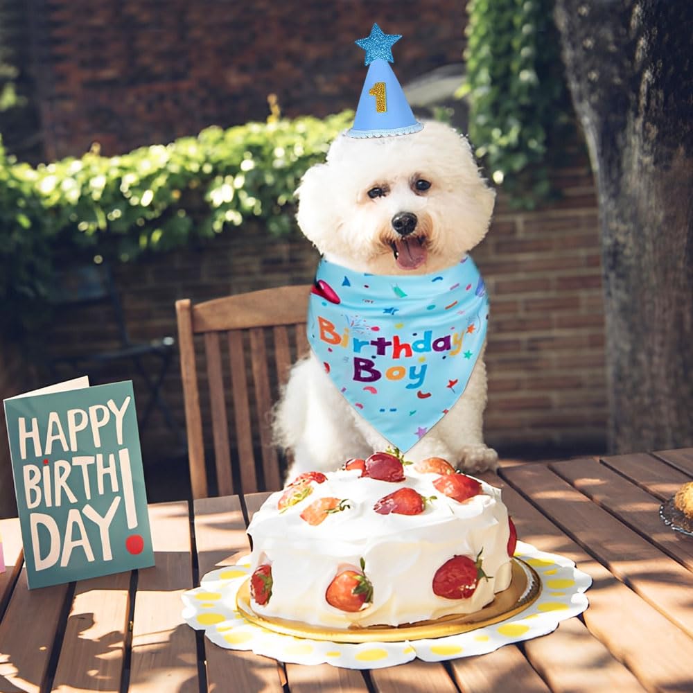 3 PCS Set Compleanno Cane,Bandana Cane Compleanno con Cappello, Numeri,HMCEY Cappellini da Festa per Animali Domestici,Accessori Decorazioni Compleanni Regalo per Cani Maschi, Femmine - Blu