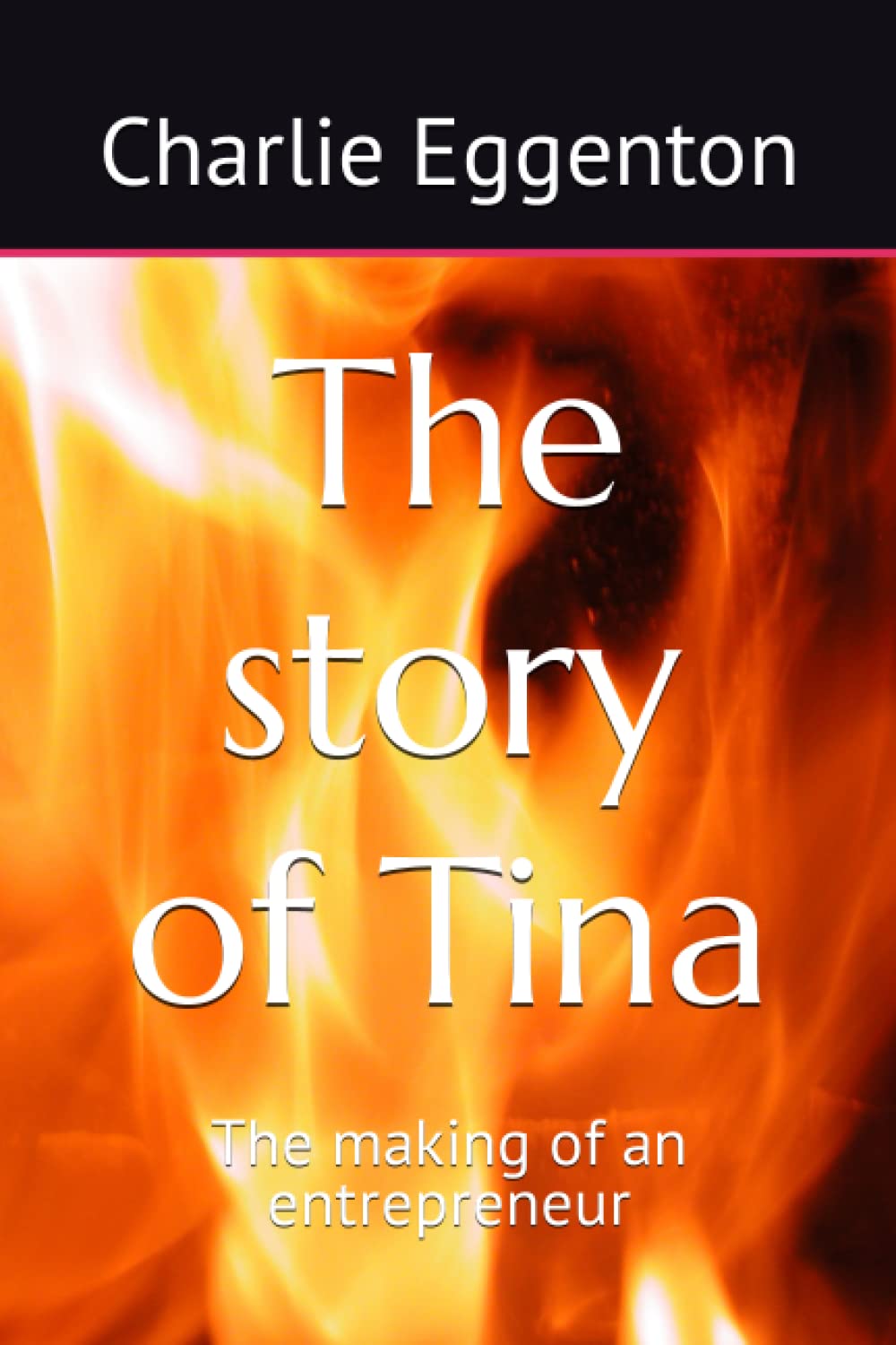 The story of Tina: The making of an entrepreneur
