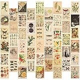 LMAIVE Wall Collage Kit Aesthetic Pictures, Vintage Posters Bedroom Dorm Decor, 50PCS 4x6 Inch...