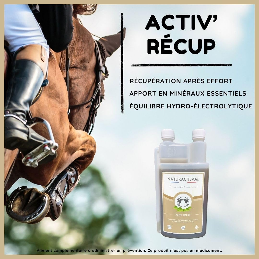 Complément récupération Cheval – Reminéralisant & électrolytes – Minéraux & Oligo-éléments – Après Effort & Chaleur