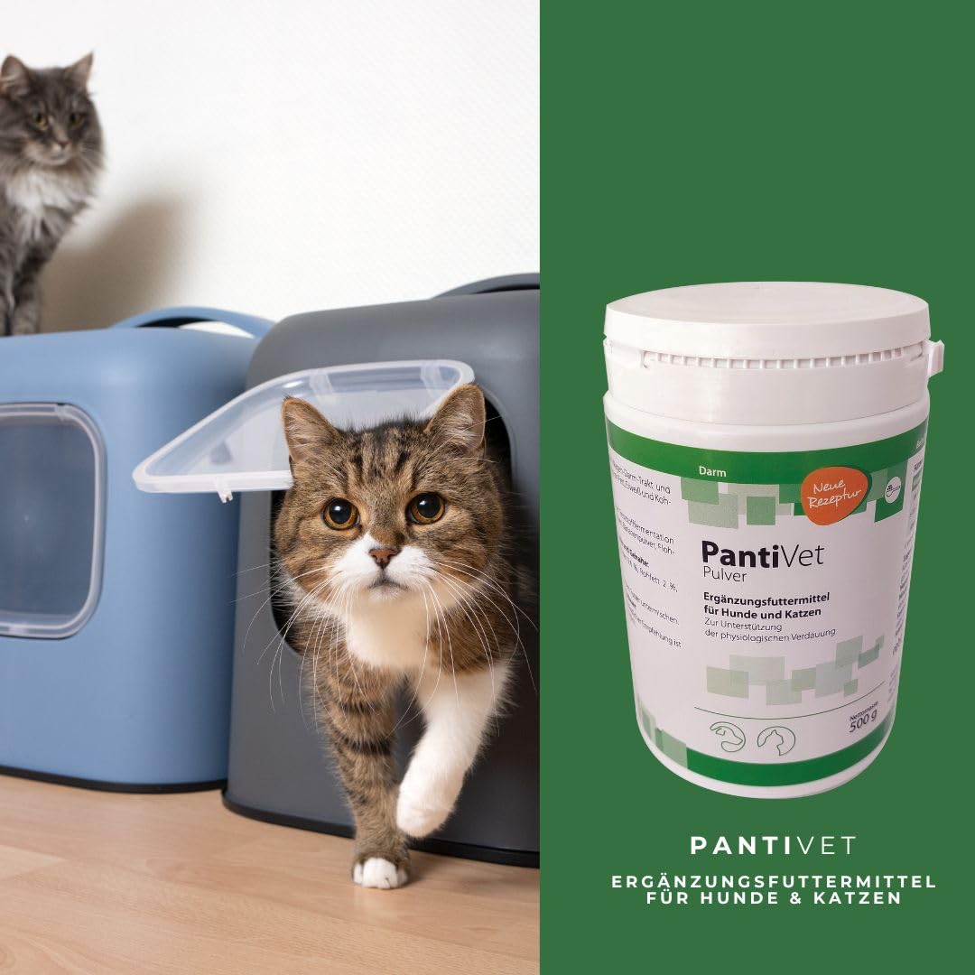 PantiVet Pulver für Hunde und Katzen – Kann zur Verdauungshilfe & Magen-Darm-Stabilisierung bei Hund und Katze beitragen, Ergänzungsfuttermittel mit Flohsamenschalen, Ananas & Banane, 500g