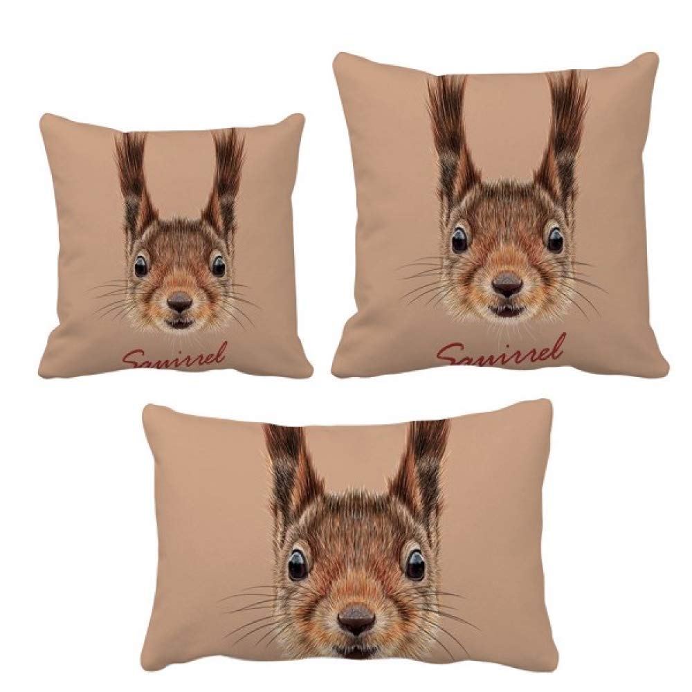 Housse de coussin écureuil pour décorer votre canapé de salon