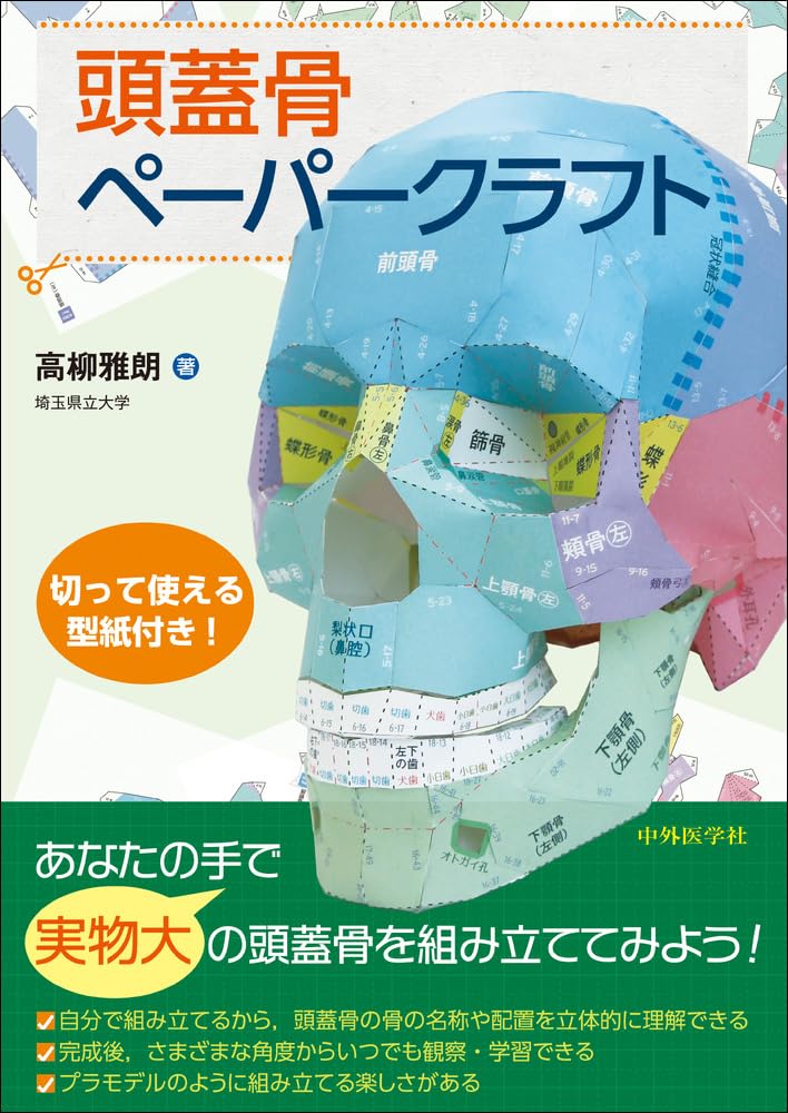 頭蓋骨ペーパークラフト | 高柳 雅朗 |本 | 通販 | Amazon