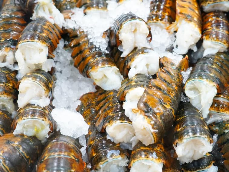 Premium Maine Lobster Tails 3-4 oz Each – 40-Pack Case – Wild-Caught, Sweet & Succulent – Perfect for Surf and Turf, Grilling, Baking, or Steaming – Frozen Seafood