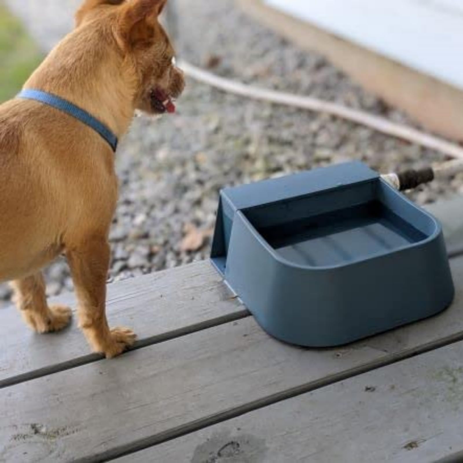 Pet Bowl Outdoor Dog Water Station Automatic Water Bowl For Large