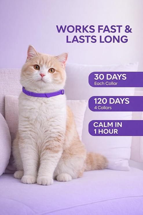 4 Pack Calming Collar for Cats: Anti Anxiety - cat Stress and Anxiety Relief, cat pheromone Collar