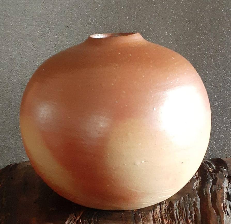 岡山県重要無形文化財【伊勢崎満】造　備前壺　共箱　父　伊勢崎陽山　弟　伊勢崎淳 Amazon.co.jp: 岡山県重要無形文化財伊勢崎満造 備前壺 共箱 父 伊勢崎