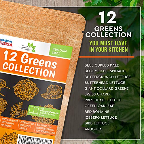 12 Lettuce and Greens Seed Pack - Heirloom and Non GMO, Grown in USA - Indoor or Outdoor Garden - Iceberg, Arugula, Kale, Spinach, Bibb, Butter, Green Oakleaf, Giant Collard, Red Romaine & More - Thumbnail 2