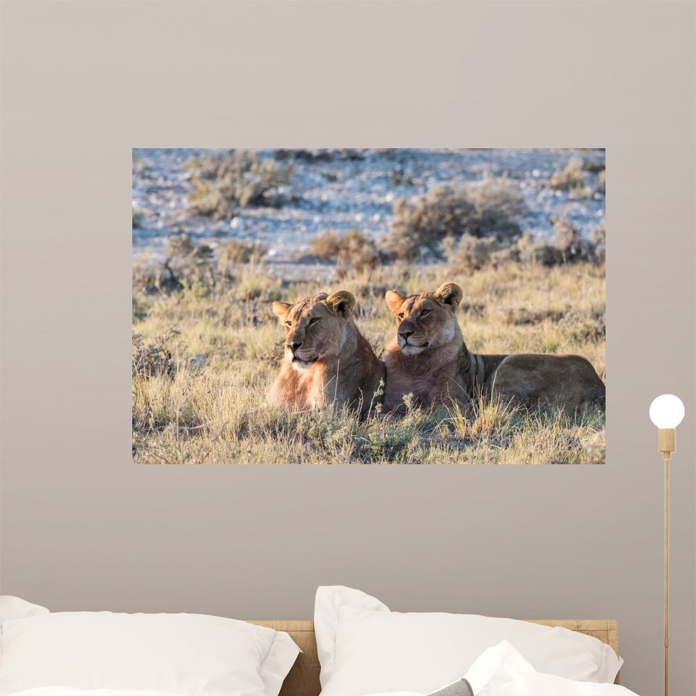 Lion Group Etosha Wall Mural Wallmonkeys Peel and Stick Graphic (36 in W x 24 in H) WM360129