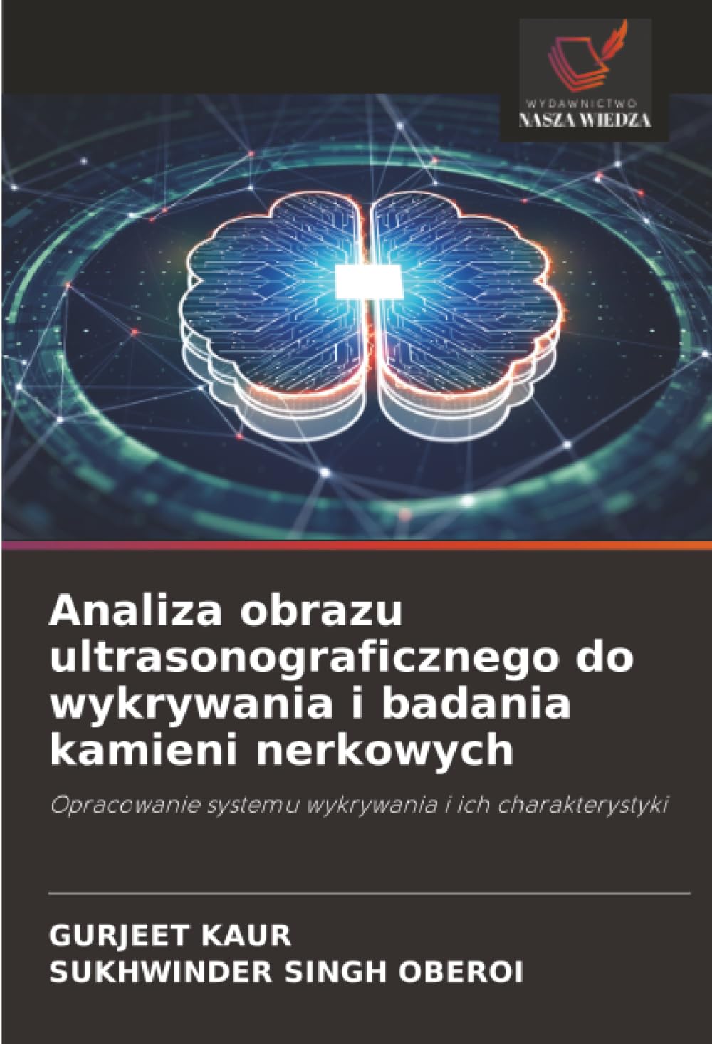 Analiza obrazu ultrasonograficznego do wykrywania i badania kamieni nerkowych: Opracowanie systemu wykrywania i ich charakterystyki