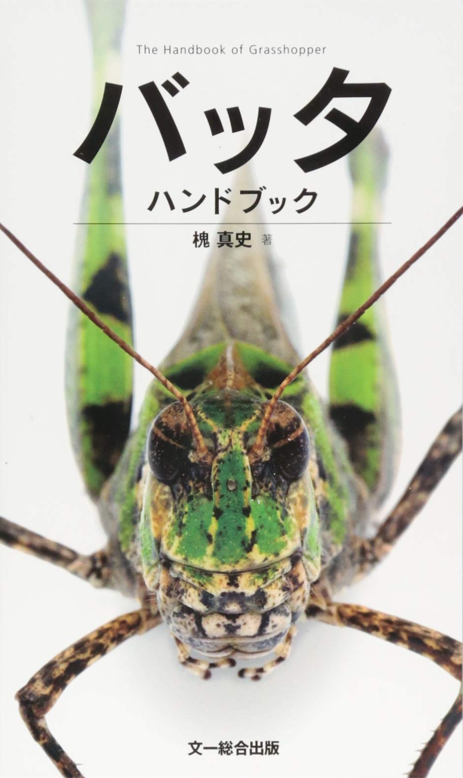 バッタハンドブック 槐 真史 配送料無料