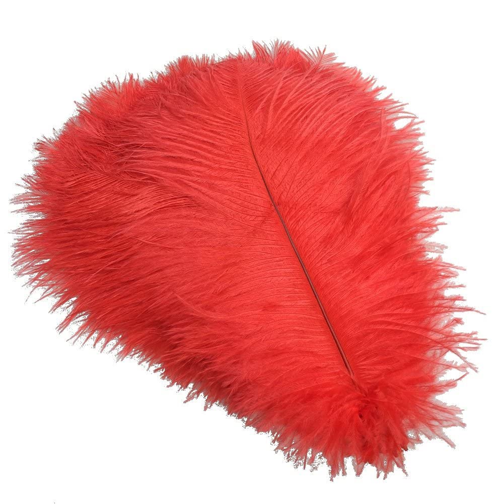 Decoro di piume di struzzo rosso 15-70 cm / 6-28quot; Grandi piume di struzzo per l'artigianato Top di carnevale con accessori da sposa per le vacanze Decorazione-65-70 cm Grande palo, 10 pezzi