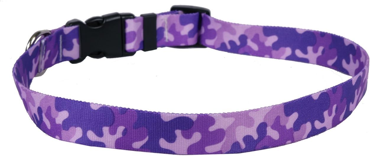 Camo Orange Dog Collar - Size Extra Small 8" to 12" Long - Made In The USA