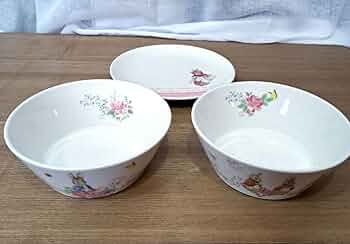 正規品　 ピーターラビット　サラダボール　スープ皿　4個セット ◯F W&Co ピーターラビット サラダボウル 深皿｜Yahoo!フリマ