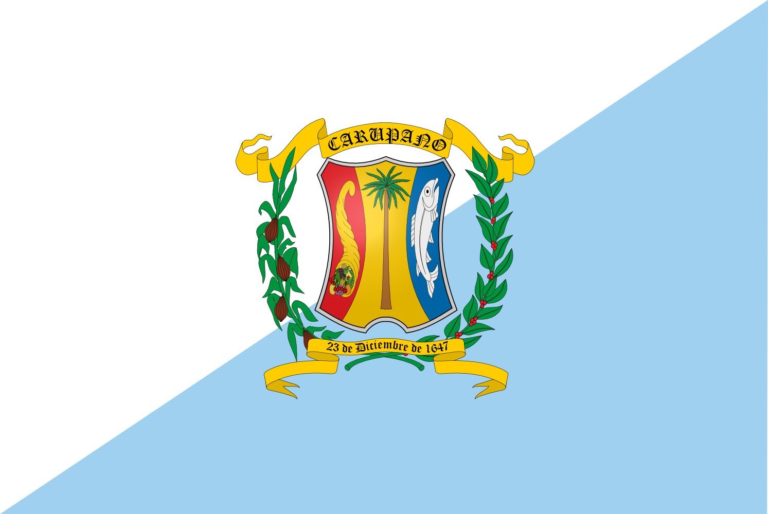 Drapeau large Municipio Bermudez en maille de qualite superieure