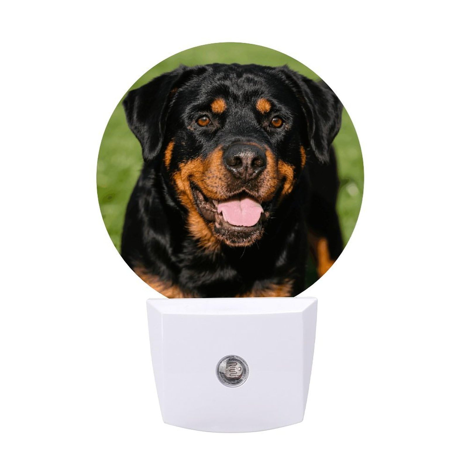FodPand Night Light Plug Into Wall with Dusk to Dawn Sensor 0.5w Modern LED Rottweiler Plug in Night Lamp Warm White Glow Nightlight for Bedroom Hallway Kitchen Bathroom Stairs Corridor(Round)