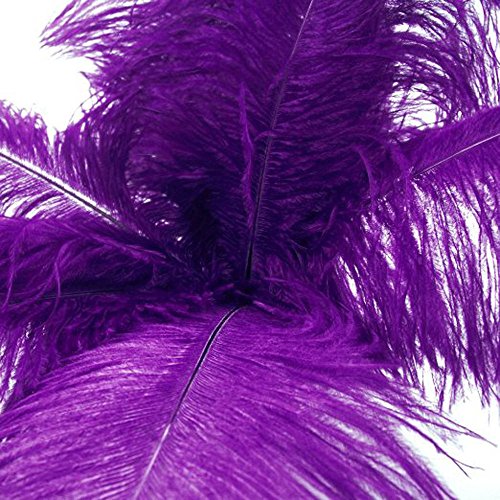 Kolight® 10Pcs Ostrich Feather Purple 12"-14" Natural Feathers Wedding, Party,Home,Hairs Decoration #TOP3