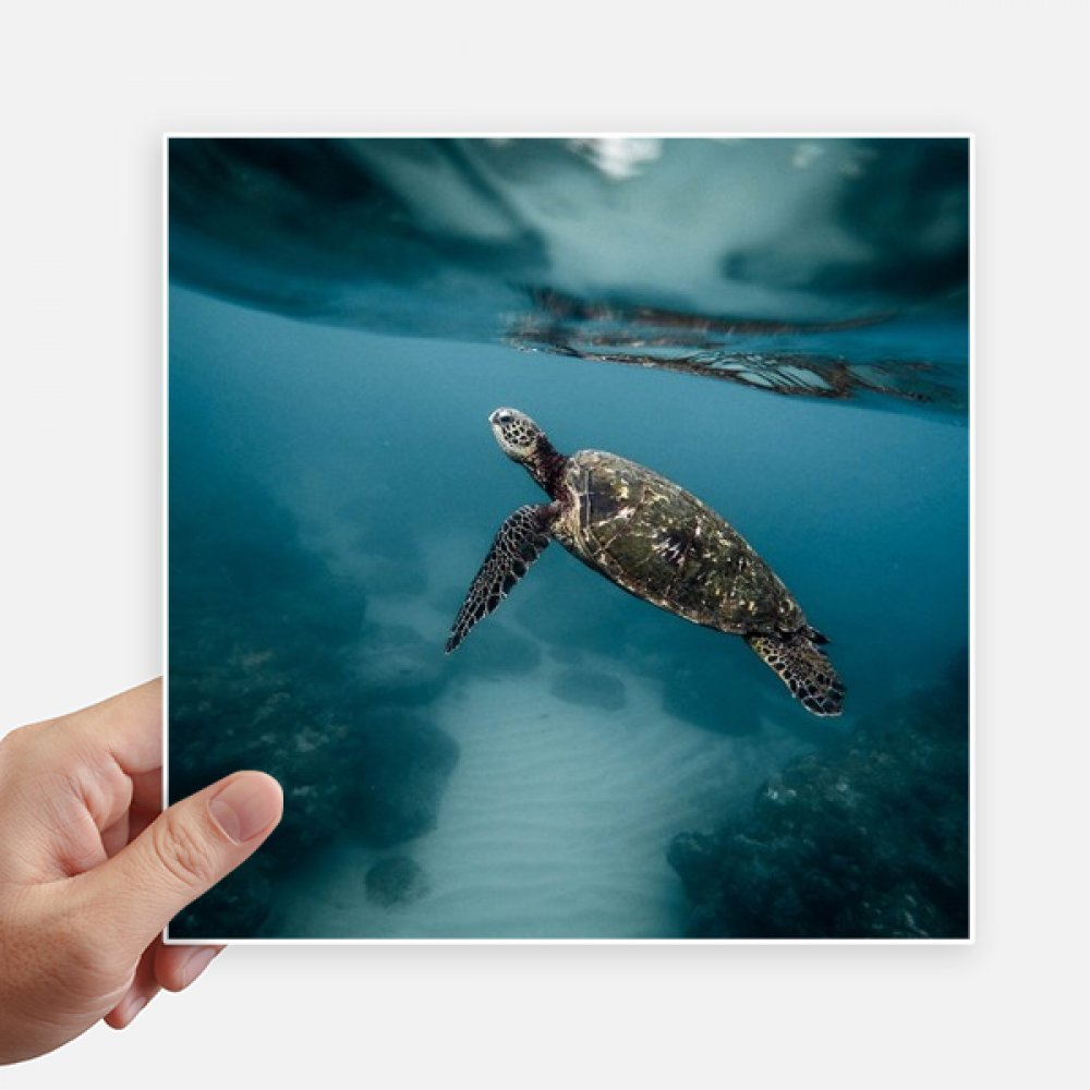 Stickers carrés tortue océan de 20 cm pour décorer un ordinateur ou une valise