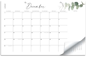 Aesthetic Modern Greenery Desk Calendar - Runs Until July 2024