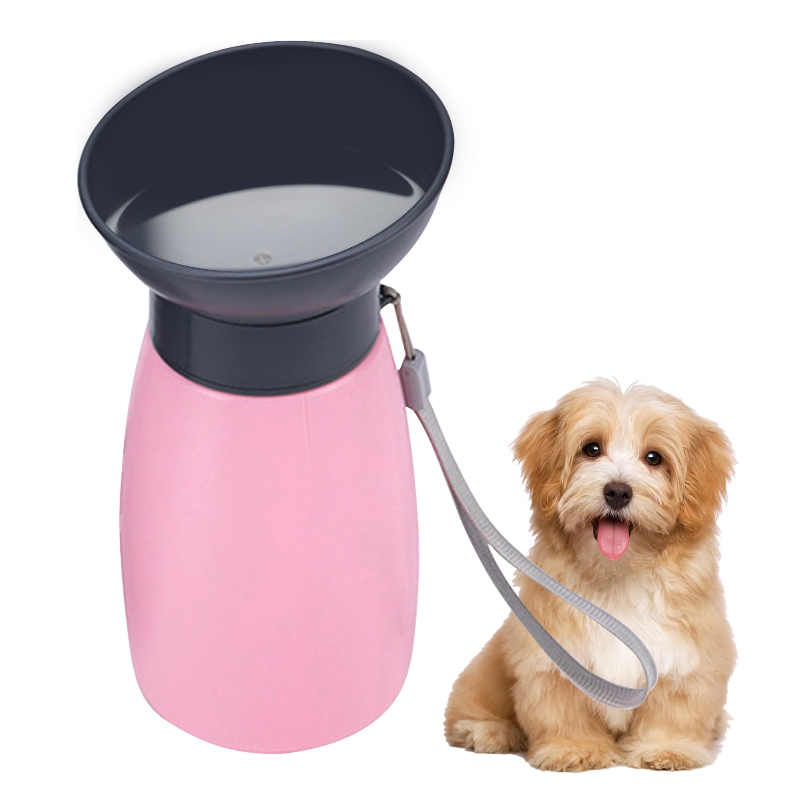 Gourde pour chien anti-fuites avec distributeur d'eau intégré de 600ml