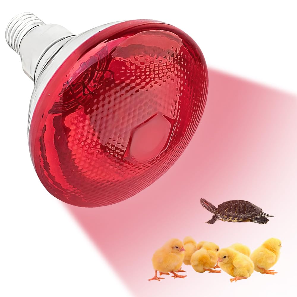 Foreverup Bombilla de calor infrarroja, 250 W, bombilla de calefacción para reptiles, lámparas de calor rojas infrarrojas para cachorros, pollitos, gatos, cerdos, luz de calor roja para reptiles