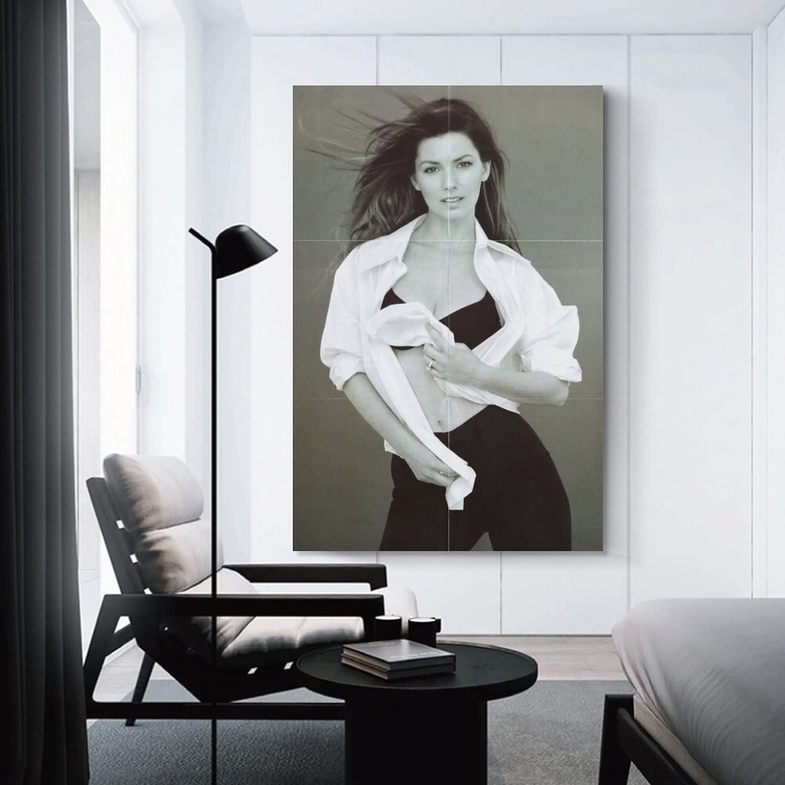 Shania Twain Poster Singer Sexy (13) Art Poster Canvas Painting Decor Wall  Print Photo Gifts Home Modern Decorative Posters FramedUnframed  12x18inch(30x45cm) : Amazon.ca: Home