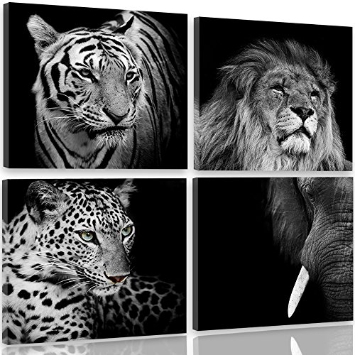 Feeby Frames, Tableau multi panneaux - 4 parties - Impression sur toile, Décoration murale, Image imprimée, 40x40 cm, LION, TIGRE, ÉLÉPHANT, ANIMAUX,...