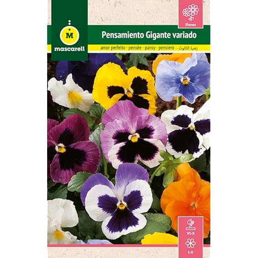Mascarell Semillas, PENSAMIENTO GIGANTE VARIADO, Semillas Flores Exterior para Decoración, 0,25 Gramos
