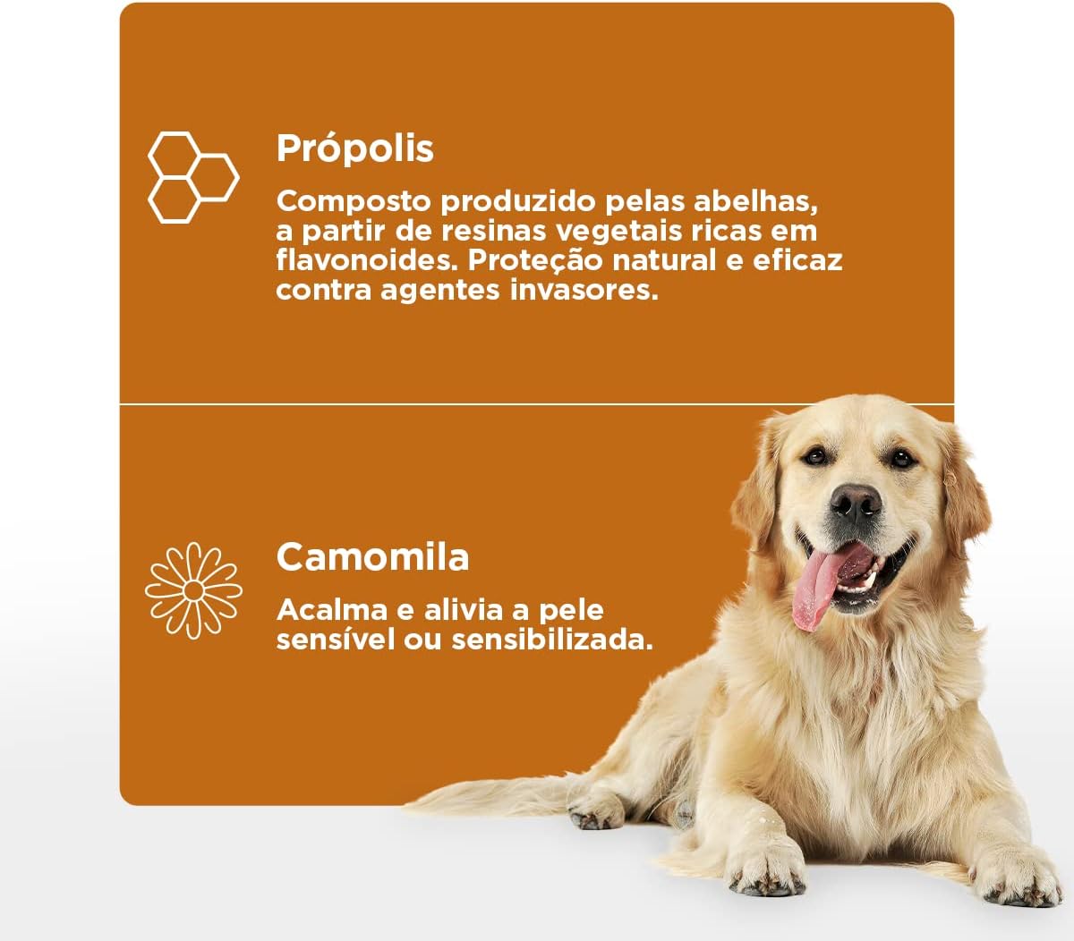 Propcalm Spray Soft Care Dermato 100mL - higienização da pele, remoção de crostas e neutralização de odores, com secagem rápida para cães e gatos Propcalm Spray Soft Care Dermato 100mL - higienização da pele, remoção de crostas e neutralização de odores, com secagem rápida para cães e gatos