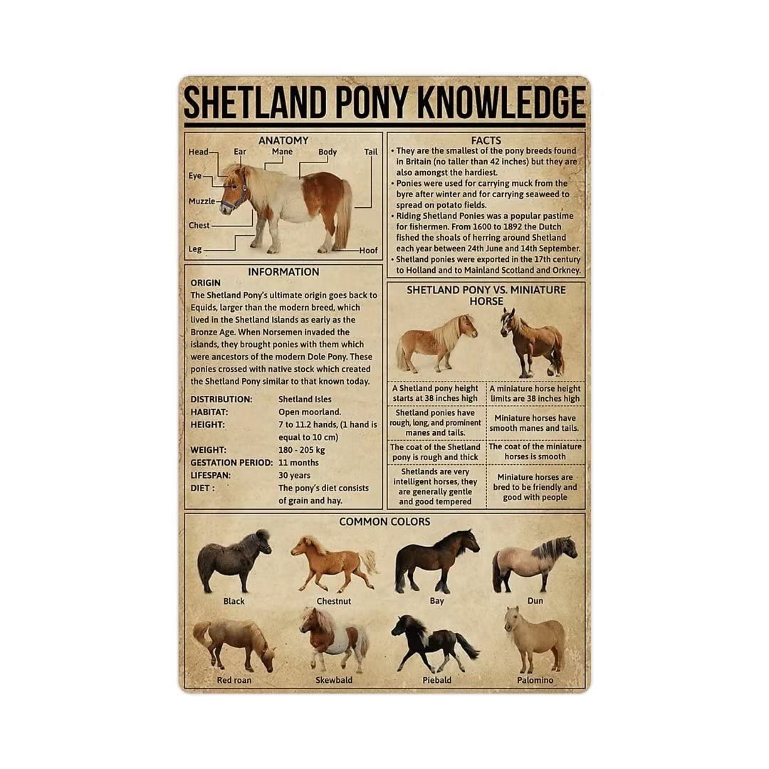 FJQWKLF Retro Tin Signs Vintage Signs Shetland Pony Knowledge 8x12 Inch